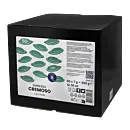 Espresso Cremoso - Budget - KaffeK (50 ese)