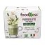 Matcha\u0020latte\u0020so\u0020\u017Een\u0161enom\u0020